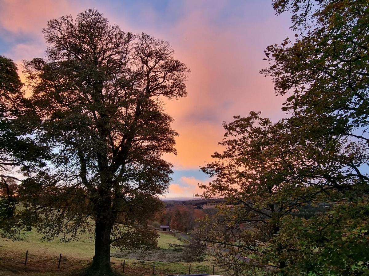 B&B Drum Farm Stirling Exteriér fotografie