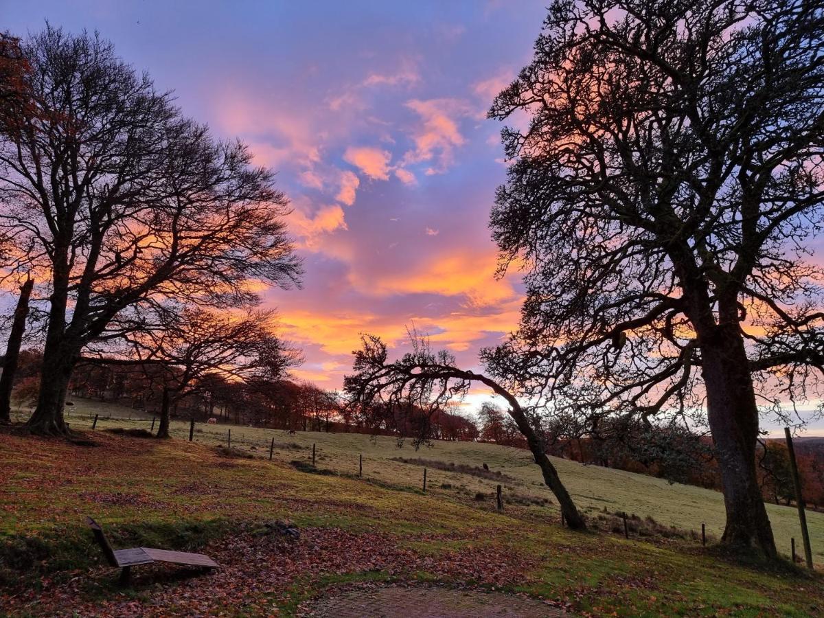 B&B Drum Farm Stirling Exteriér fotografie